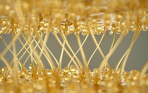 Collagen Animated 3D model