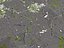 Belo Horizonte Brazil 50x50km
