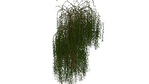 3D willow tree