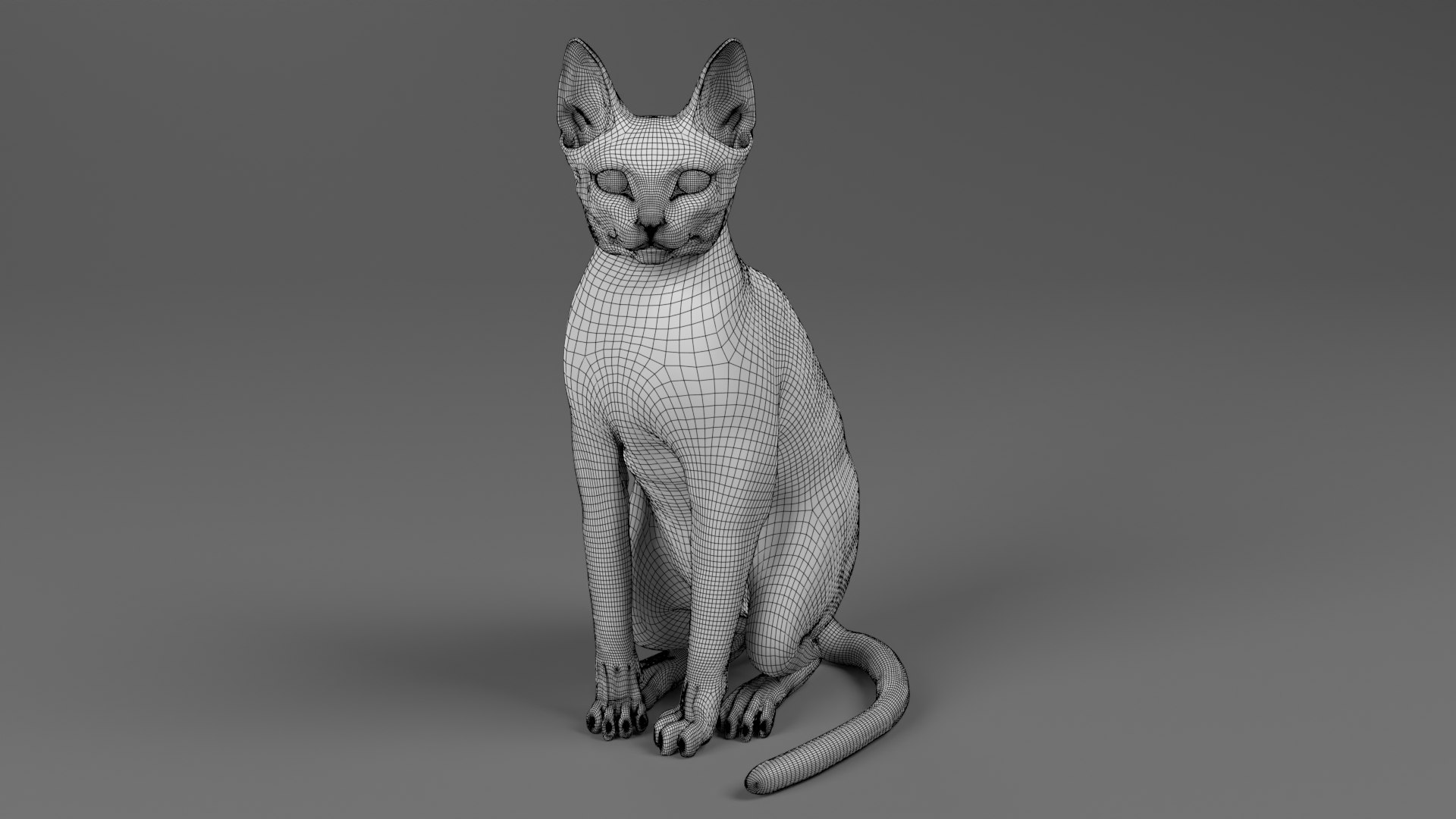 3D Cat Grey Tabby ANIMATED Model - TurboSquid 2043433