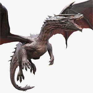 3D Dragon Adult Rigged model
