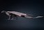3D Dragon Adult Rigged model