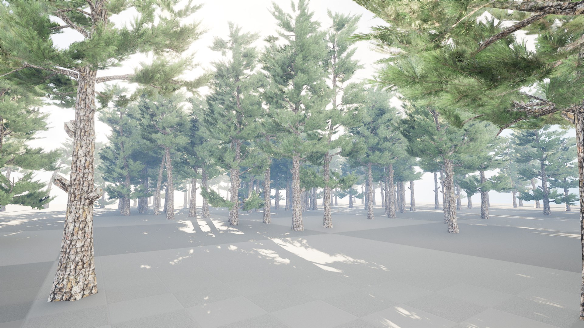 3D Conifer pine forest trees https://p.turbosquid.com/ts-thumb/6p/wSPAsc/S6/highresscreenshot00003/jpg/1688599963/1920x1080/fit_q87/0c7a5b77cc80a9e1e9a30520a1b359c932e332c5/highresscreenshot00003.jpg