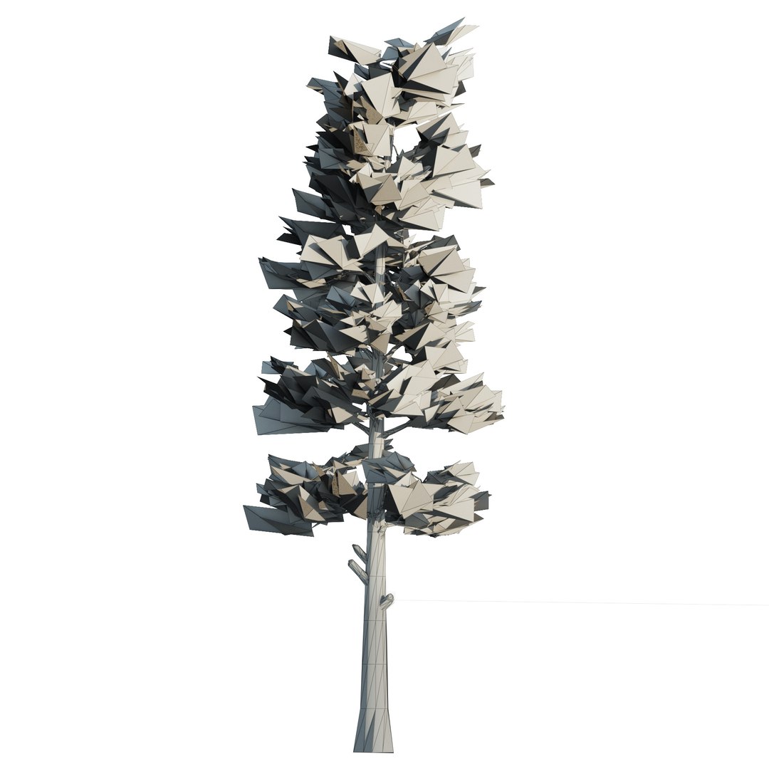 3D Conifer pine forest trees https://p.turbosquid.com/ts-thumb/6p/wSPAsc/iS/wire/jpg/1688600782/1920x1080/fit_q87/c75bc5ea6493ed8d804691f16dd957fd4fab916a/wire.jpg