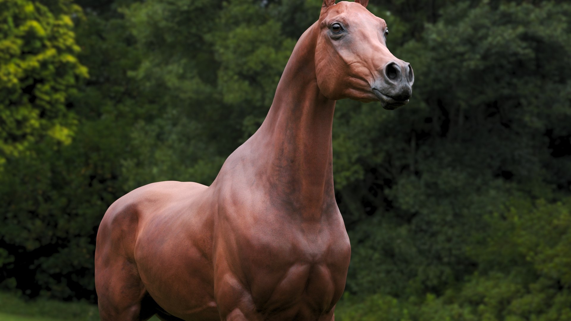 3D horse arabian BROWN https://p.turbosquid.com/ts-thumb/6q/9ZHxMy/2M/1/jpg/1617788713/1920x1080/fit_q87/2fef9c978ccac0e9a7020ac569a55b63a894f53f/1.jpg