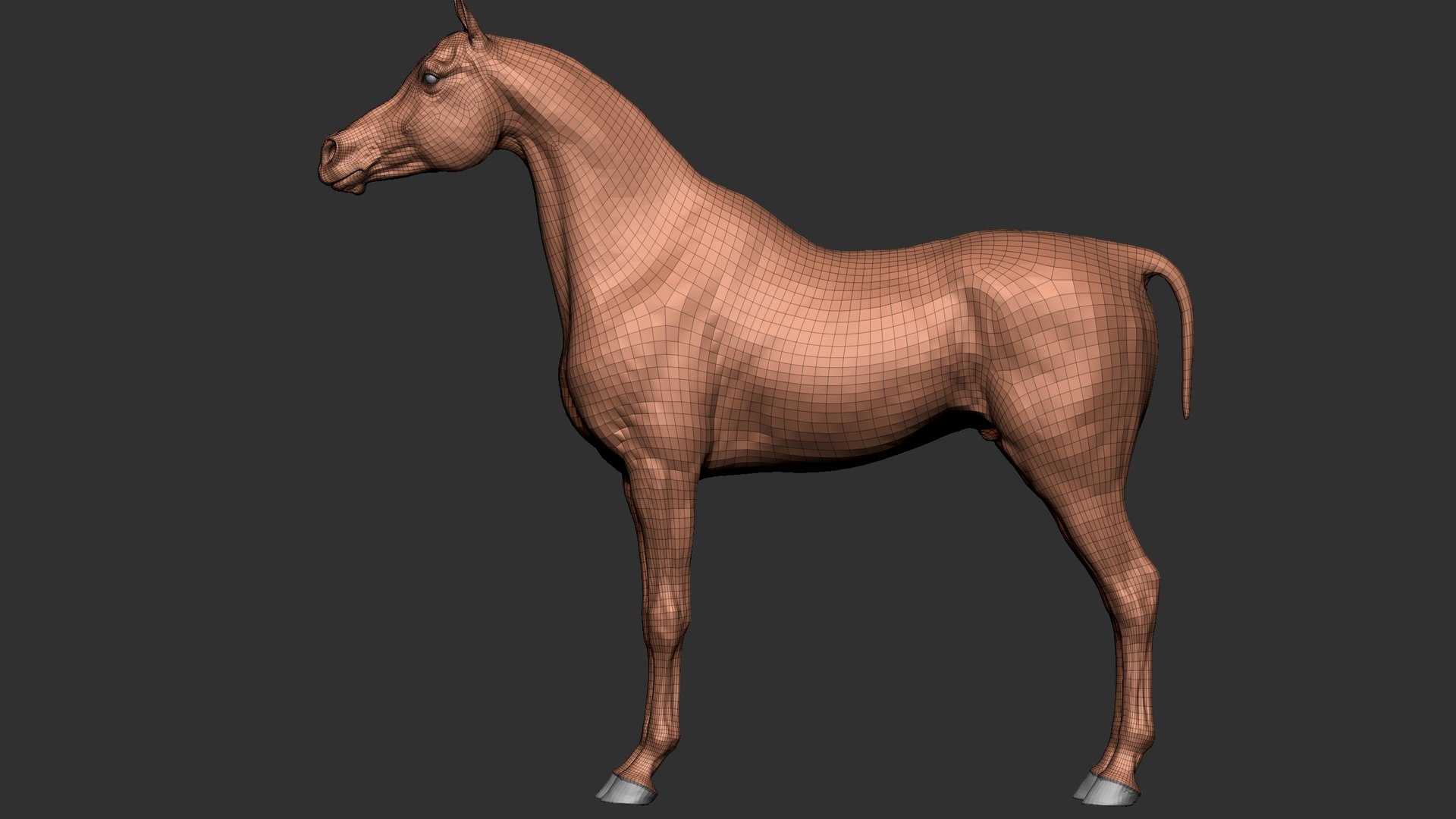 3D horse arabian BROWN https://p.turbosquid.com/ts-thumb/6q/9ZHxMy/ni/42/jpg/1617788823/1920x1080/fit_q87/a27c0e80418d86e385a3d504bbe241e1f386a038/42.jpg
