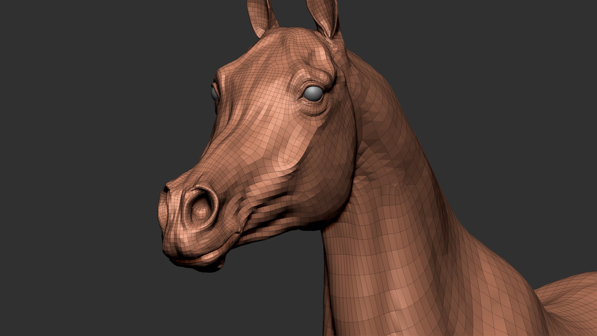 3D horse arabian BROWN https://p.turbosquid.com/ts-thumb/6q/9ZHxMy/vA/44/jpg/1617788823/1920x1080/fit_q87/4b0e41302f6f592805ee1fff167d59868e32db65/44.jpg