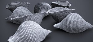 MACARONI SHELL PASTA 2024 FBX model