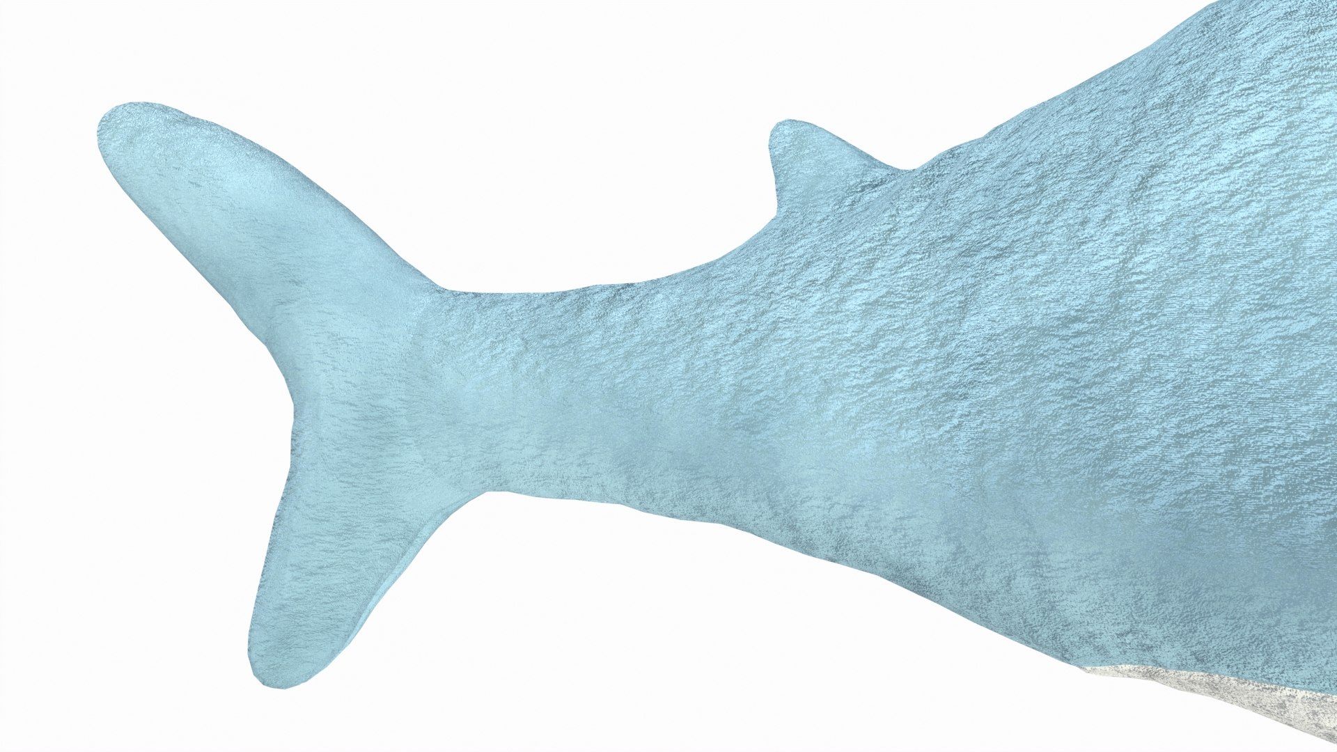Shark Soft Toy Small 3D model https://p.turbosquid.com/ts-thumb/6q/OVnDd9/Au/shark_soft_toy_small_011/jpg/1741116520/1920x1080/fit_q87/c6680c85bb51e3efe26dc56177ed54126d9b8a8f/shark_soft_toy_small_011.jpg