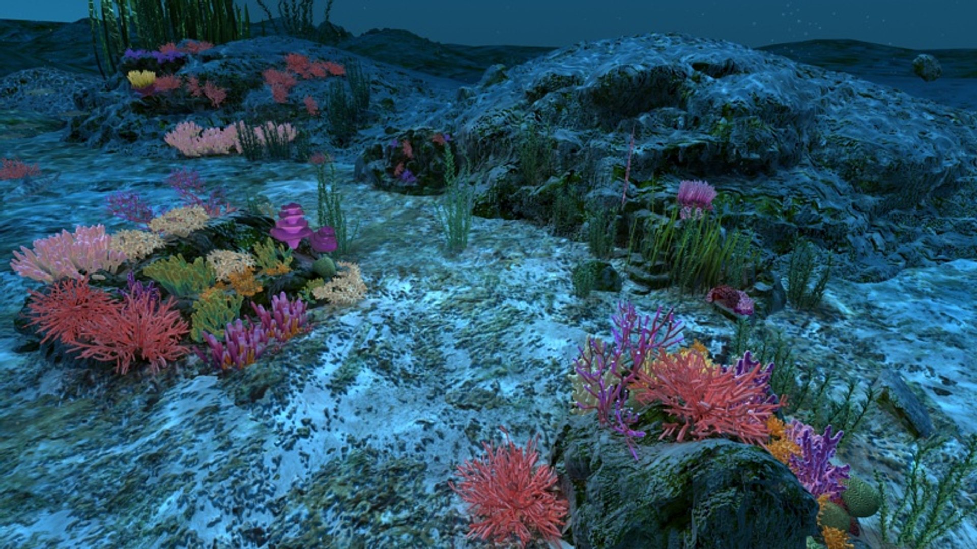 Ocean Floor Coral Reefs 3d Max