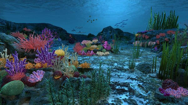 Ocean Floor Coral Reefs Shoal Of Fish 3D Model Animated CGTrader ...