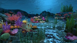 Ocean floor coral reefs
