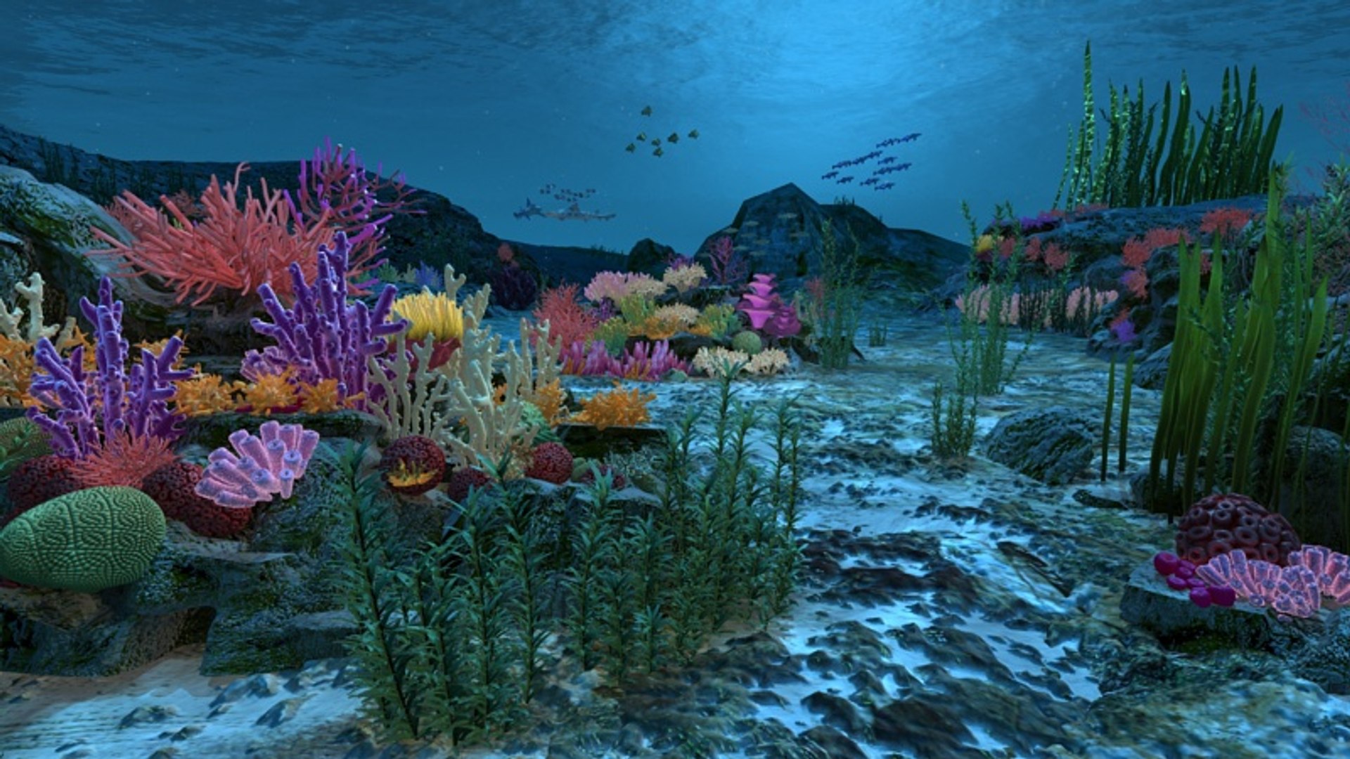 Ocean Floor Coral Reefs 3d Max