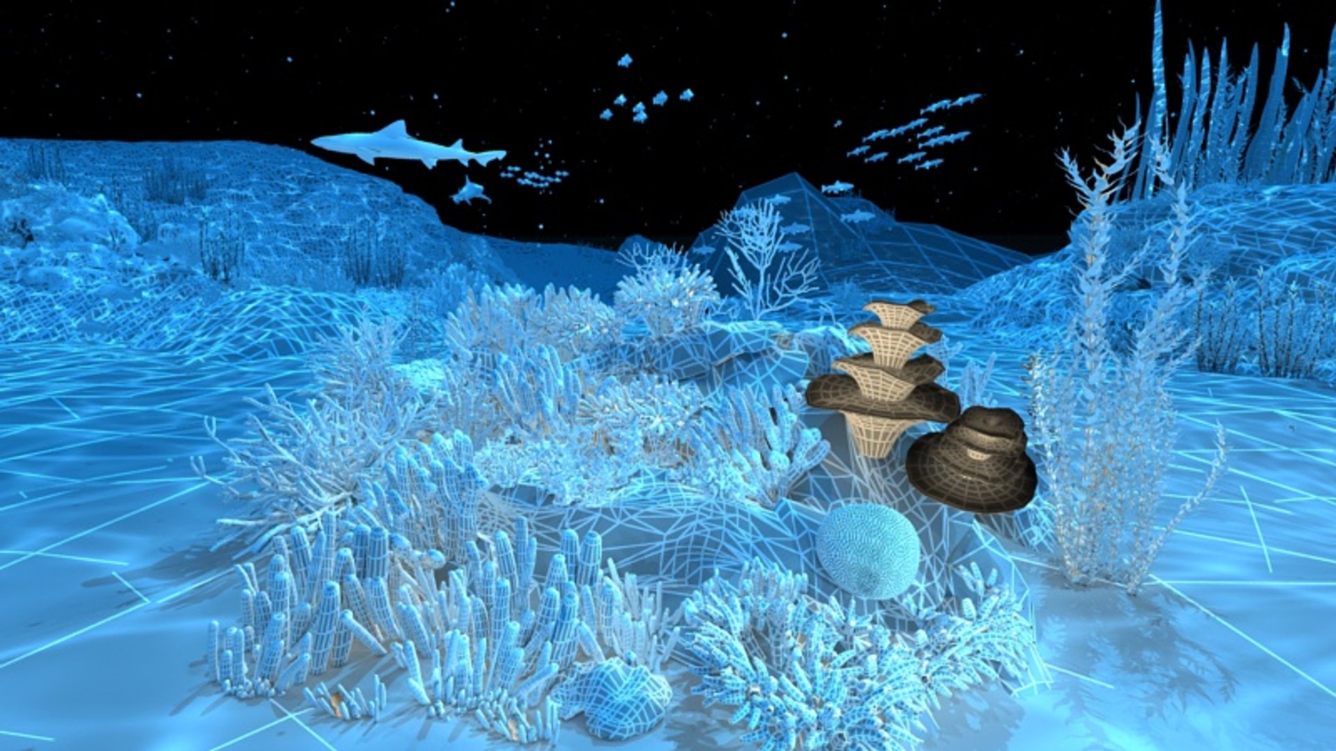Ocean Floor Coral Reefs 3d Max