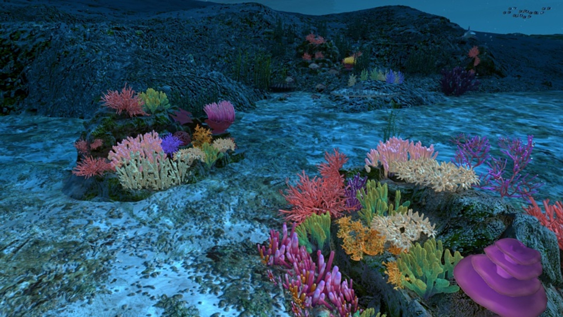 Ocean Floor Coral Reefs 3d Max
