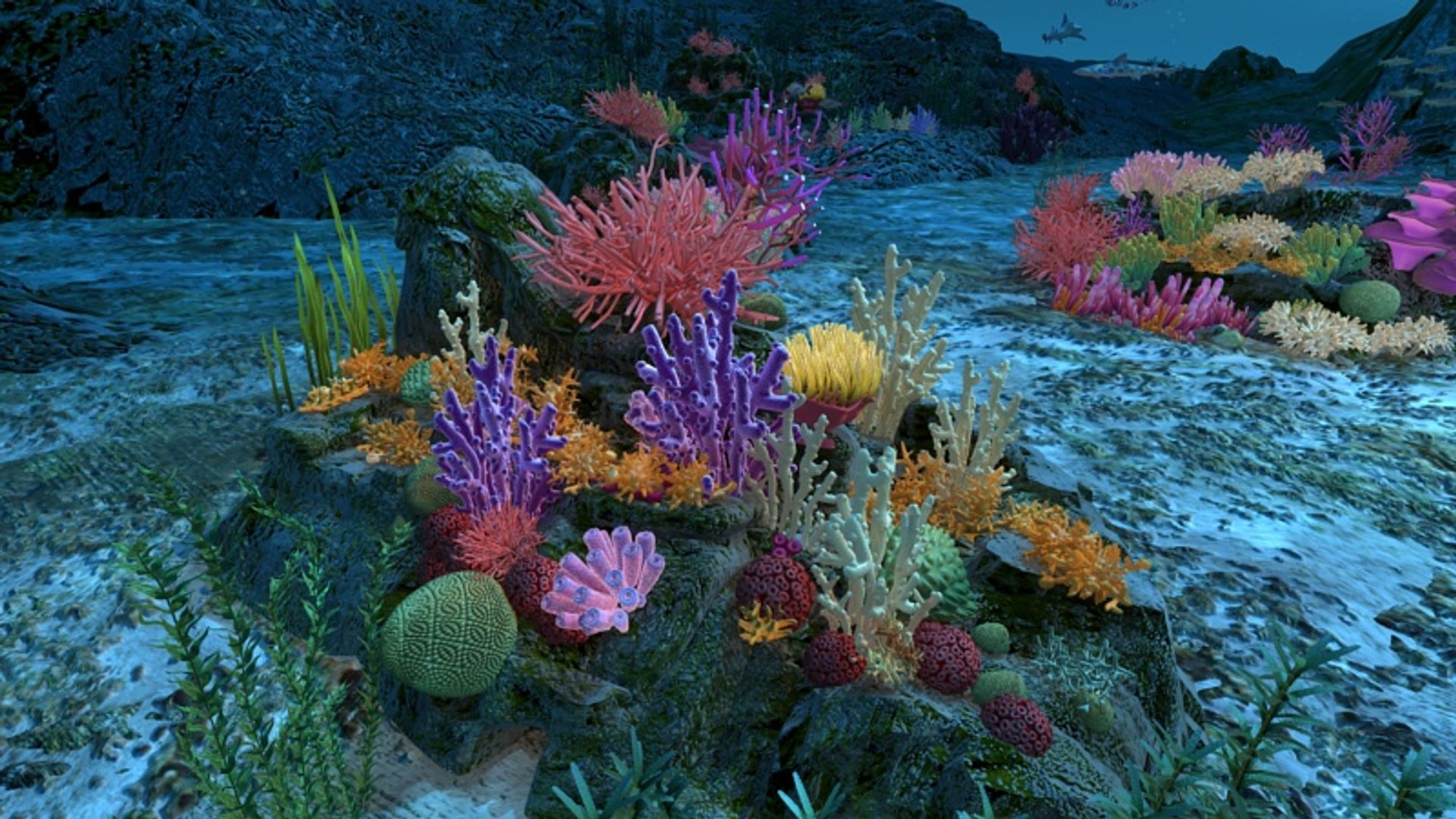 Ocean Floor Coral Reefs 3d Max