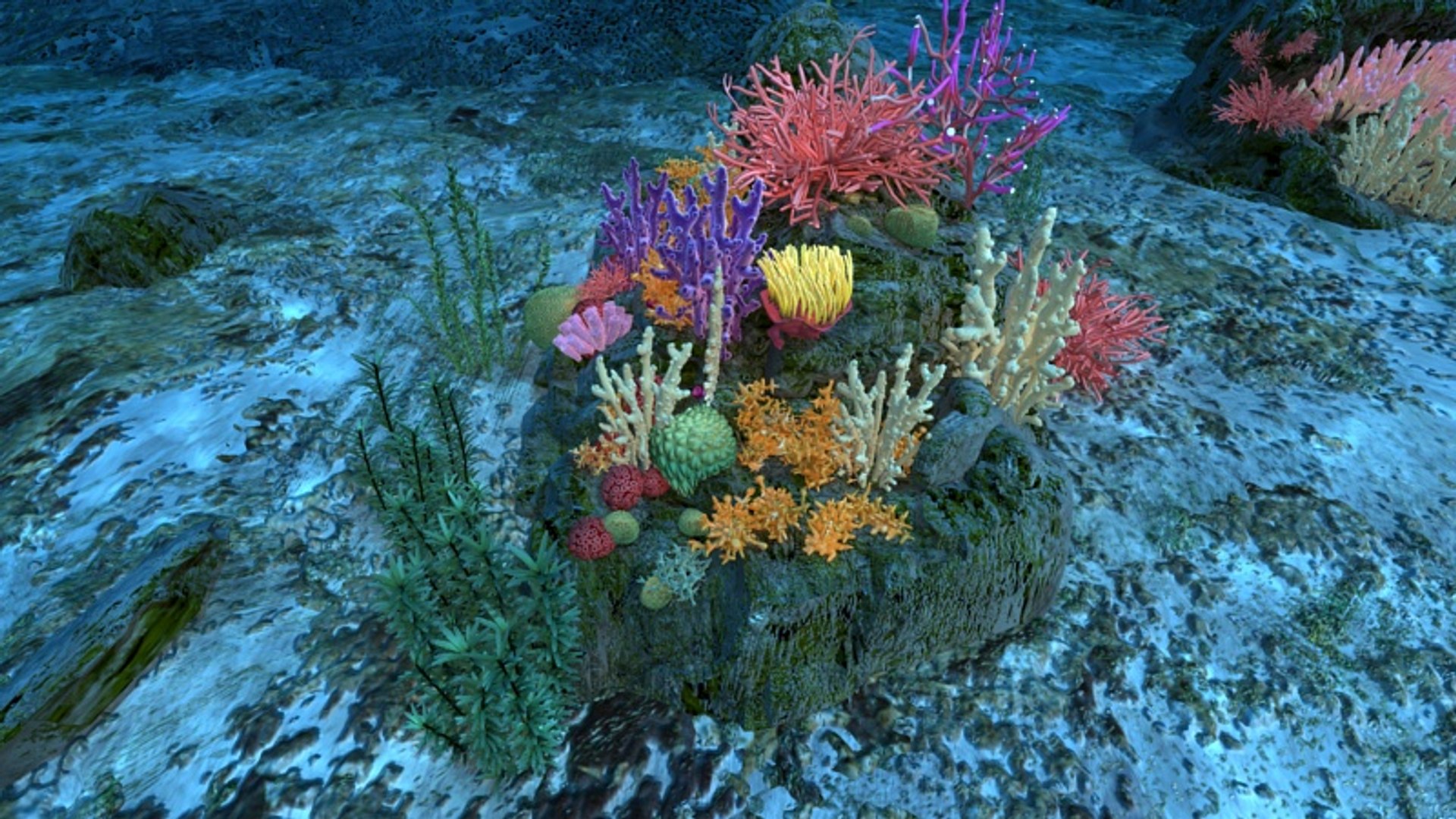Ocean Floor Coral Reefs 3d Max