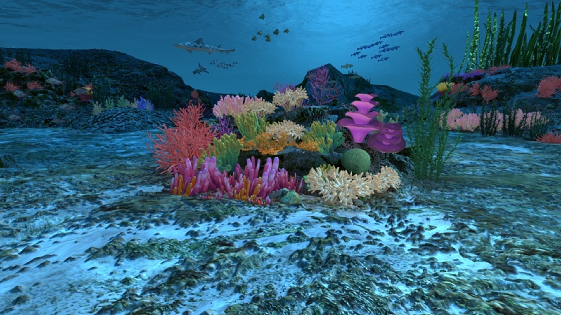Ocean Floor Coral Reefs 3d Max