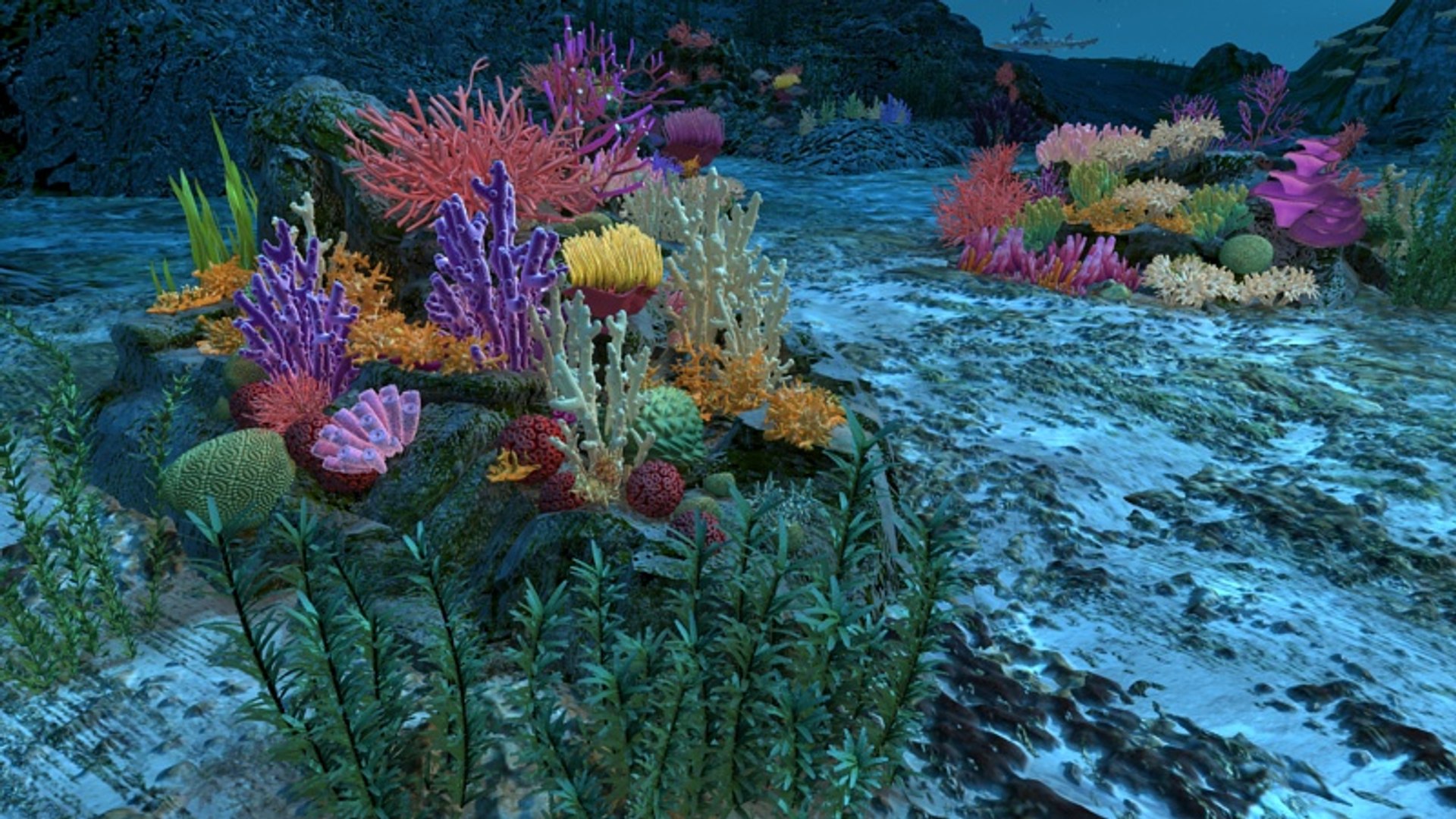 Ocean Floor Coral Reefs 3d Max