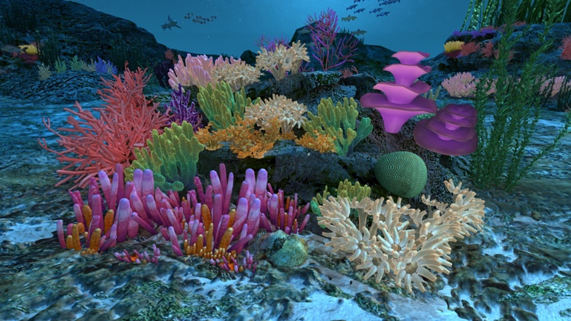 Ocean Floor Coral Reefs 3d Max