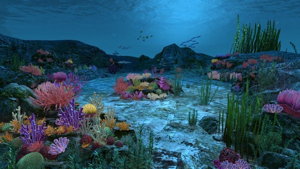 ocean floor coral reefs 3d max