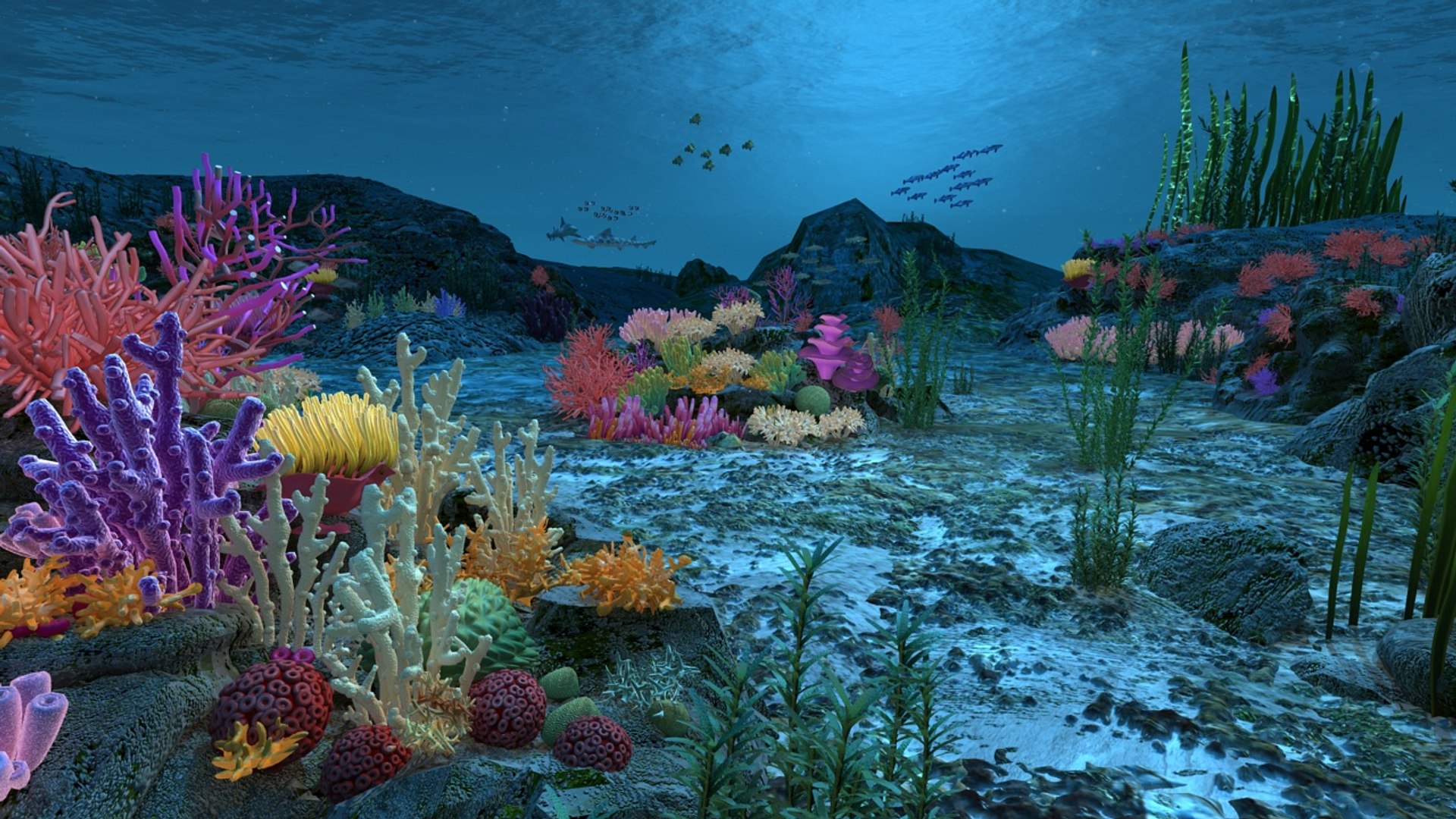 ocean floor coral reefs 3d max