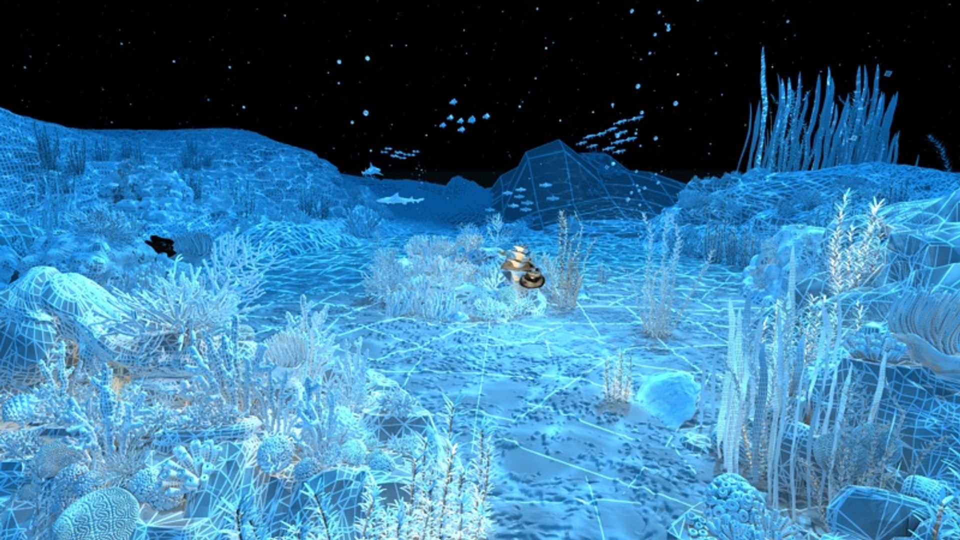 Ocean Floor Coral Reefs 3d Max