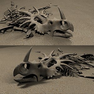 bones 3D model