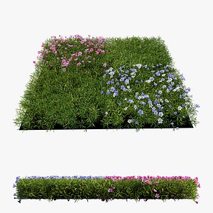 Plant Flower set 06