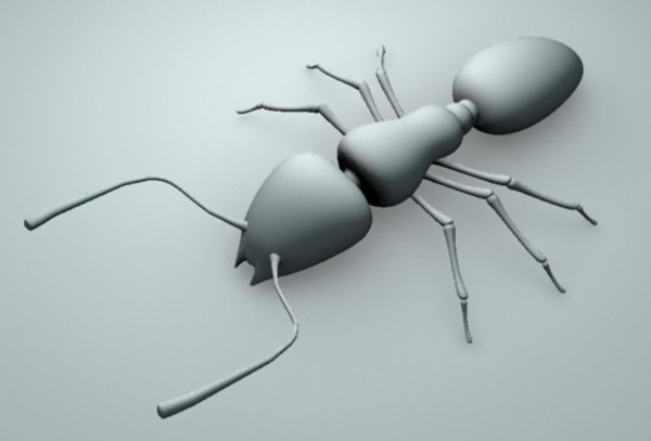 3d ant model