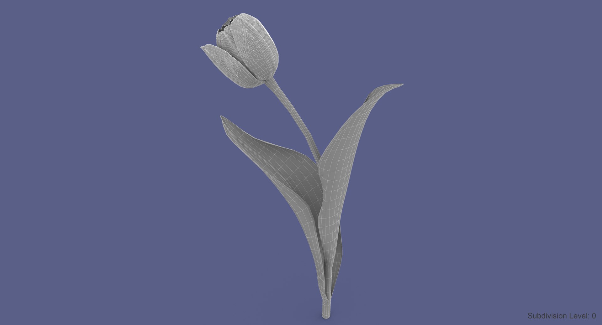 3d tulip leaf model https://p.turbosquid.com/ts-thumb/6q/hGvlwJ/6di4UaZn/tulip6_w4/jpg/1491500166/1920x1080/fit_q87/25fc2f876efa25304e76c48b3c150237c935d2d3/tulip6_w4.jpg