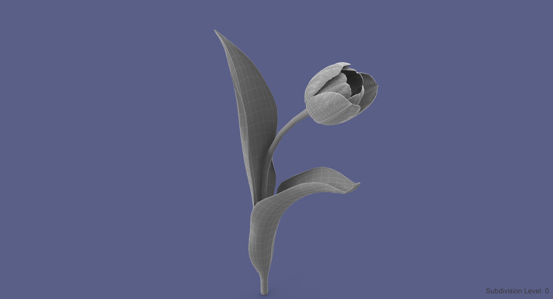 3d tulip leaf model https://p.turbosquid.com/ts-thumb/6q/hGvlwJ/WeatDQII/tulip6_w2/jpg/1491500166/1920x1080/fit_q87/2486840403750abb48f1bc1aa7a5ecd60e40faaa/tulip6_w2.jpg