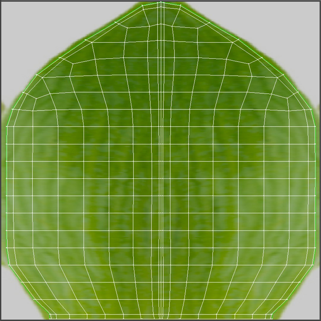 3d tulip leaf model https://p.turbosquid.com/ts-thumb/6q/hGvlwJ/gxlADCGM/tulip6_uv2/jpg/1491499854/1920x1080/fit_q87/3d3716a2921dfb8c5cb39fd6580c08e641fa0870/tulip6_uv2.jpg