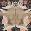 3D Channel Island Cow Beige Fur