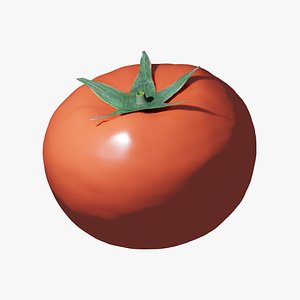 3D model tomato