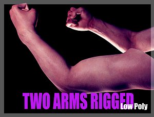 Two Hand Rigged