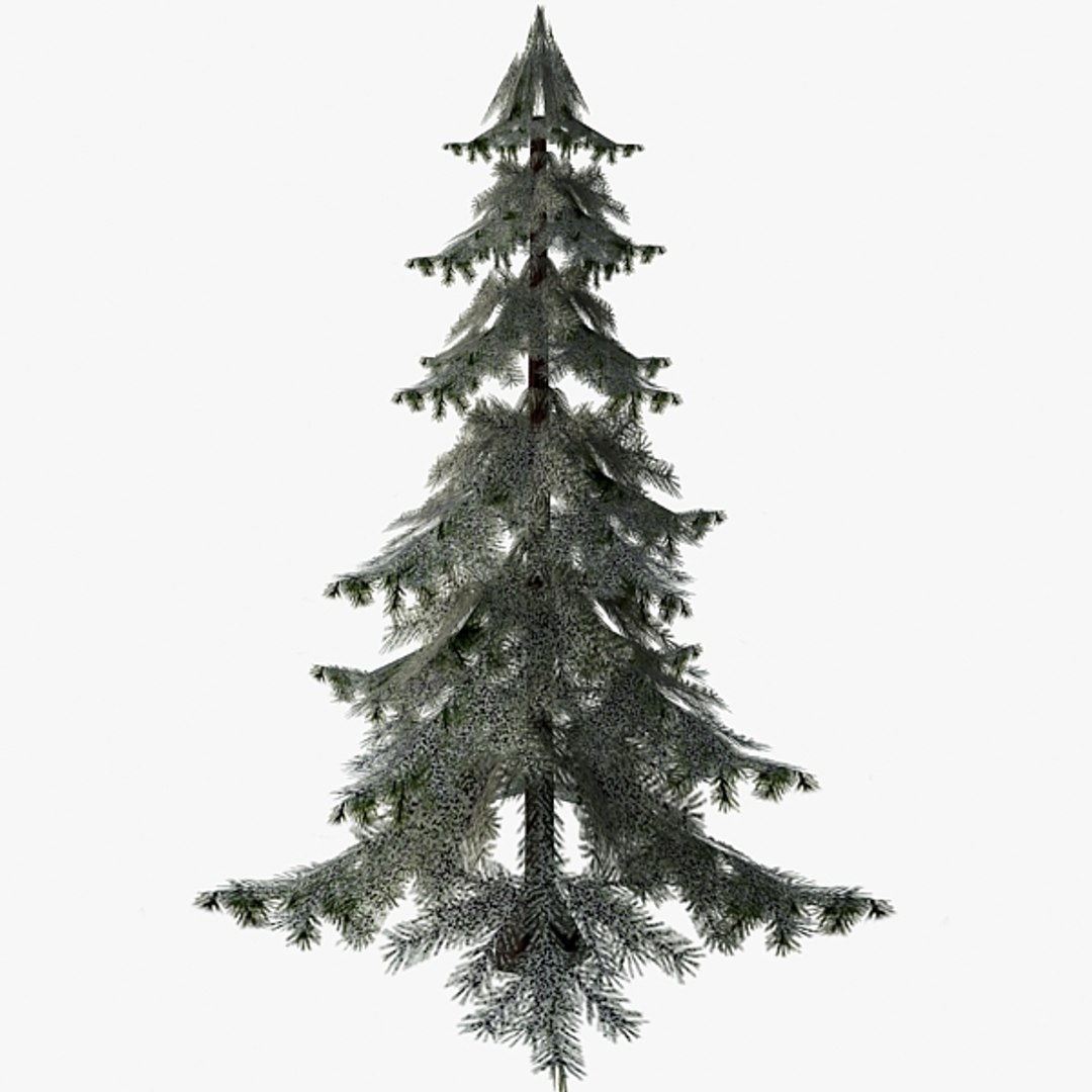 3d model spruce snow