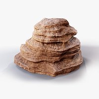Desert Rock 03