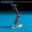 Robot leg