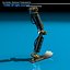 Robot leg