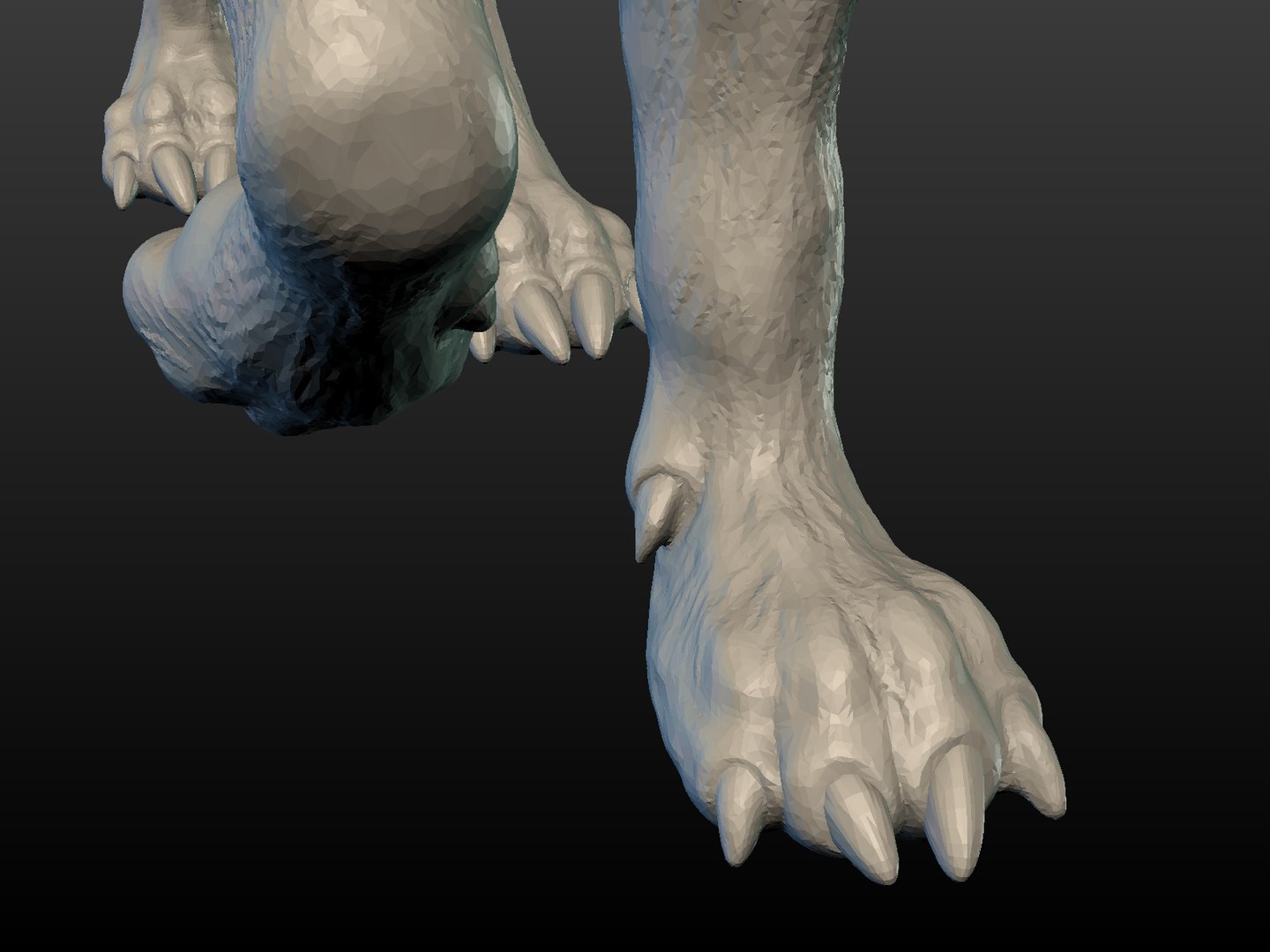 3D wolf model https://p.turbosquid.com/ts-thumb/6r/MvsWNv/5owVBMe4/wolf_pose08/png/1525889997/1920x1080/fit_q87/edcbb1f595d02d080051e69cbd9e0c971a0e7f77/wolf_pose08.jpg
