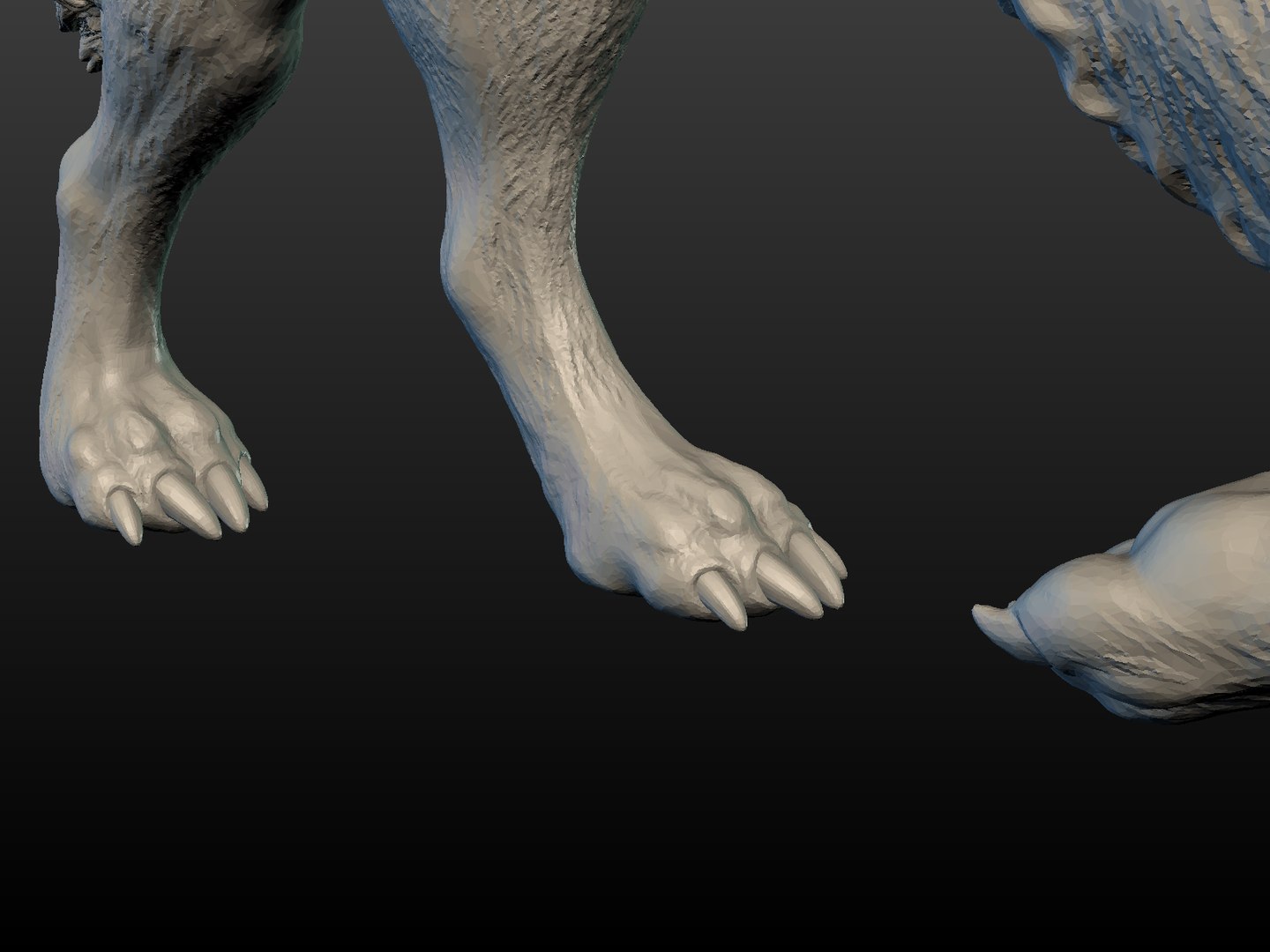 3D wolf model https://p.turbosquid.com/ts-thumb/6r/MvsWNv/ejxJaxSY/wolf_pose09/png/1525889997/1920x1080/fit_q87/97b8a446e7dca28e6715d0369d8606970aff854b/wolf_pose09.jpg