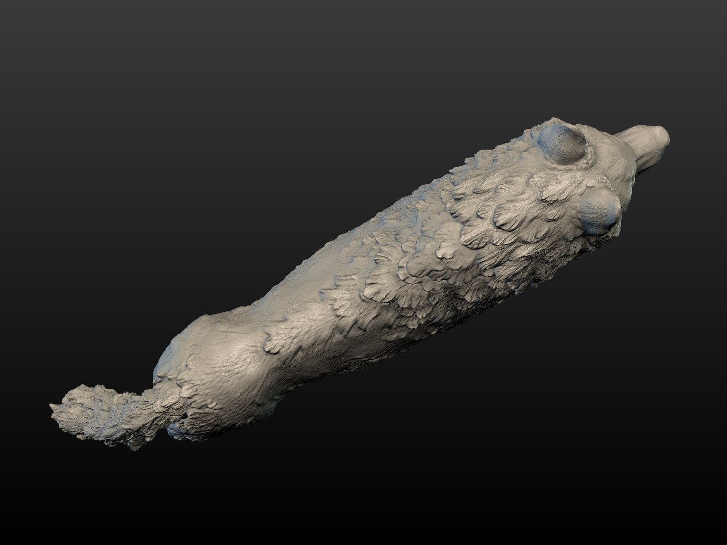 3D wolf model https://p.turbosquid.com/ts-thumb/6r/MvsWNv/rtNVIaQZ/wolf_pose10/png/1525889997/1920x1080/fit_q87/7176bdd6b158b80cc92c1779f6e5a04271f19538/wolf_pose10.jpg