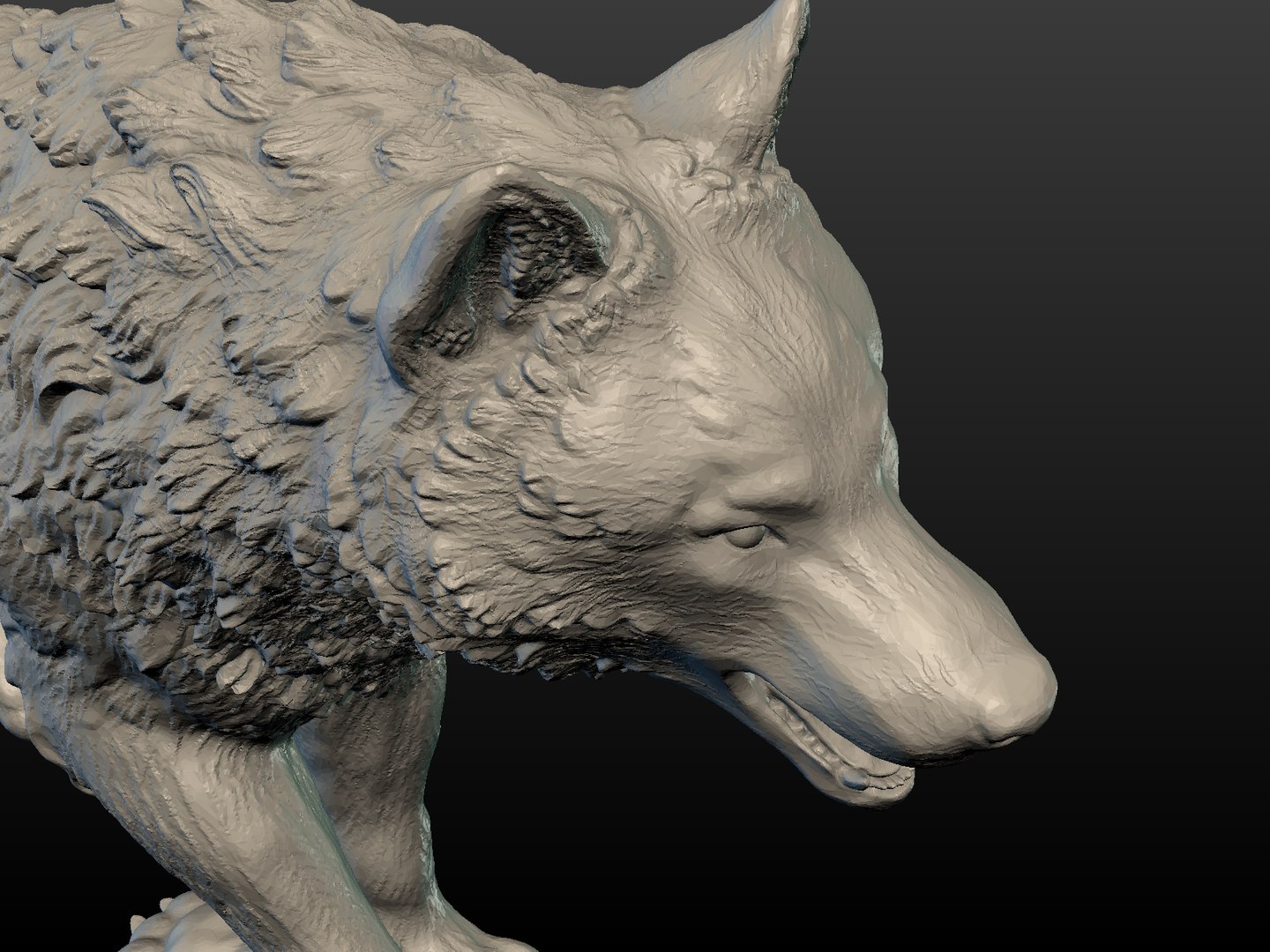 3D Wolf Model - TurboSquid 1284886