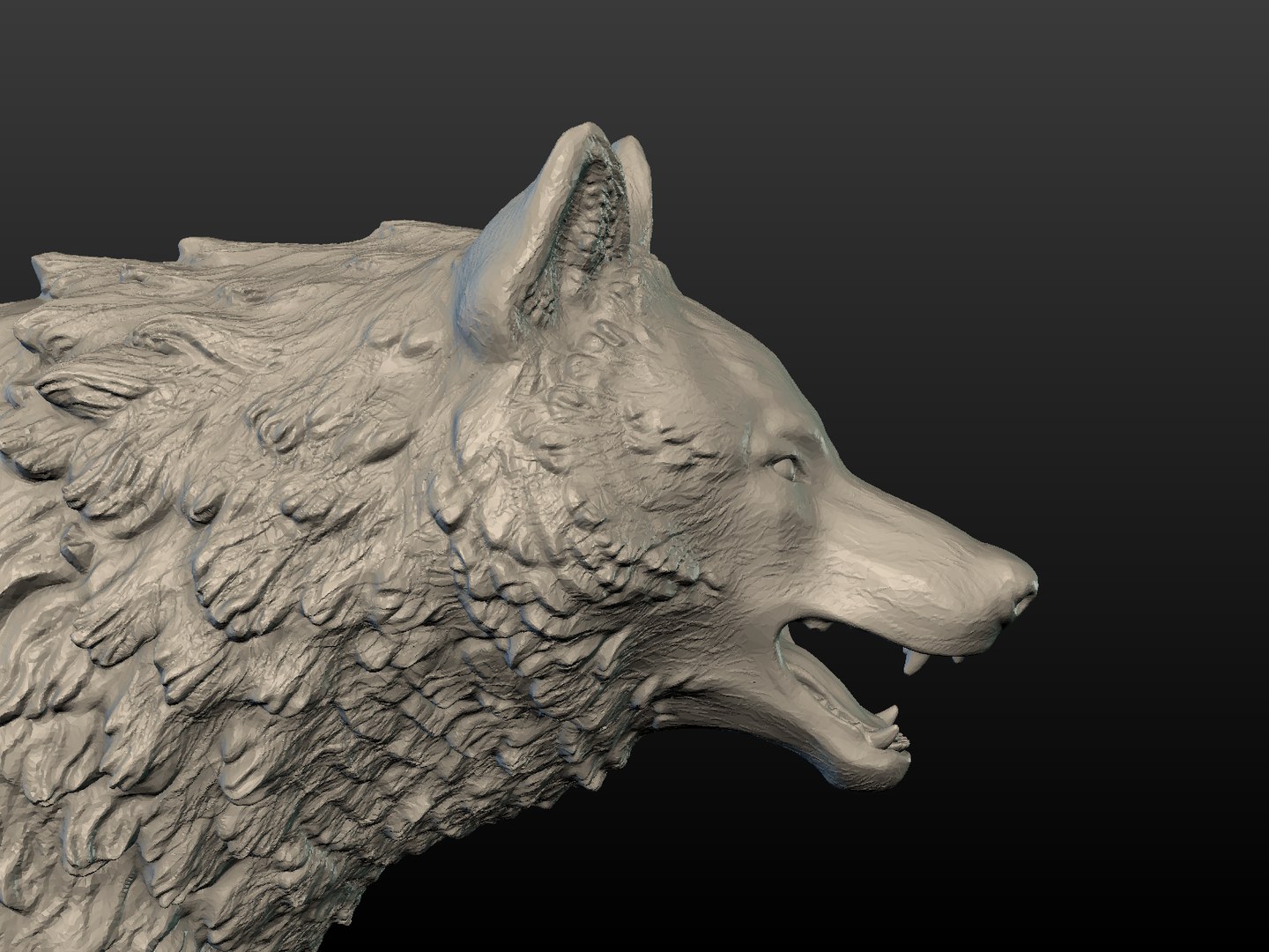 3D wolf model https://p.turbosquid.com/ts-thumb/6r/MvsWNv/ye8nyiGM/wolf_pose15/png/1525889997/1920x1080/fit_q87/78a7bd46e74368c851b87f3761e81f148d689ef0/wolf_pose15.jpg