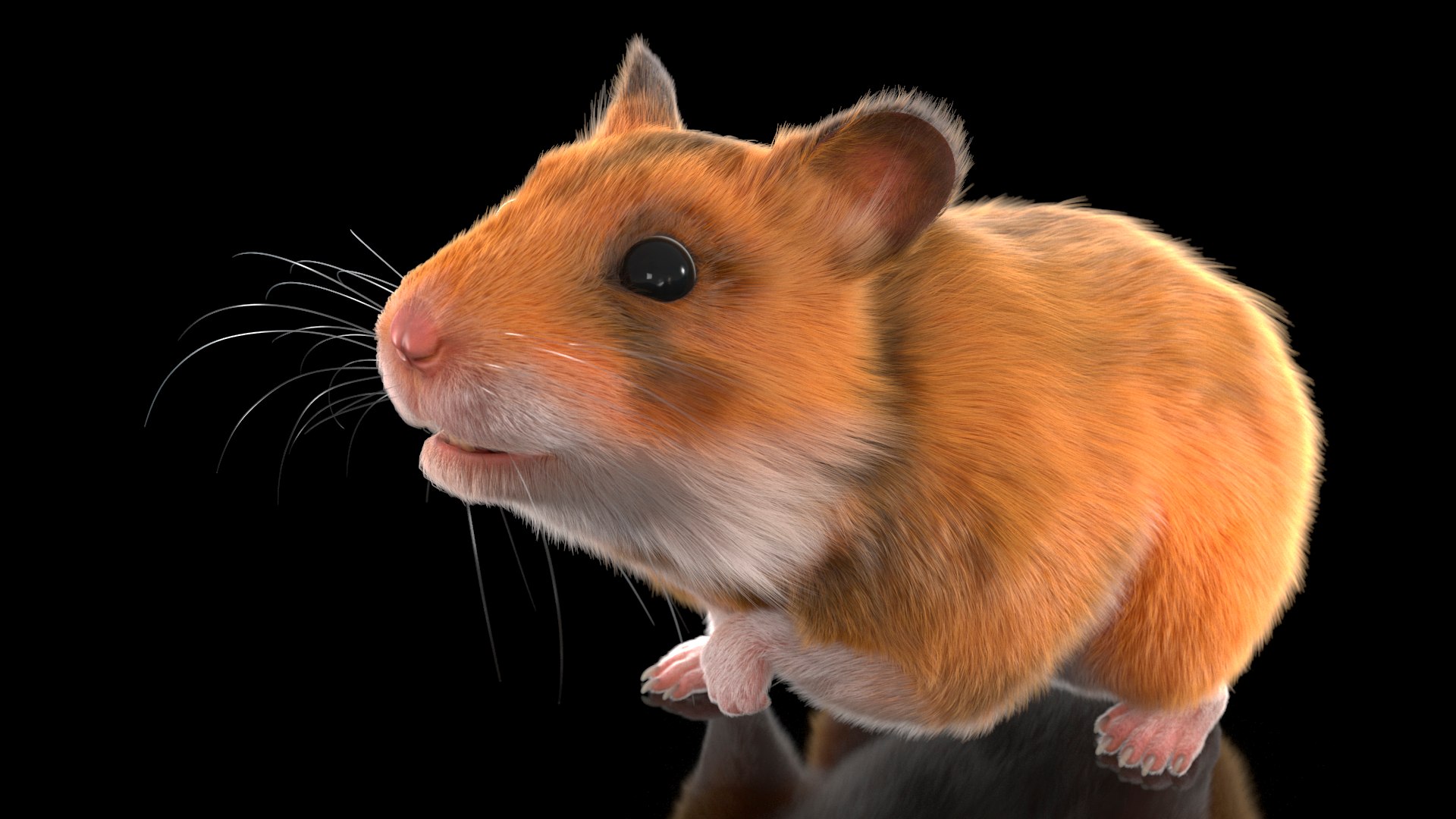 3D Short Haired Golden Hamster - TurboSquid 2048530