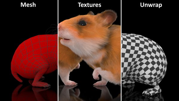 modelo 3d Hámster dorado de pelo corto - TurboSquid 2048530