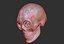 Skull chicano 3D print model