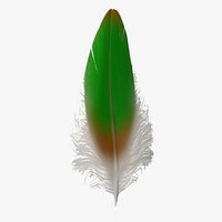 Feather