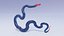 Blue Coral Snake - Static Poses
